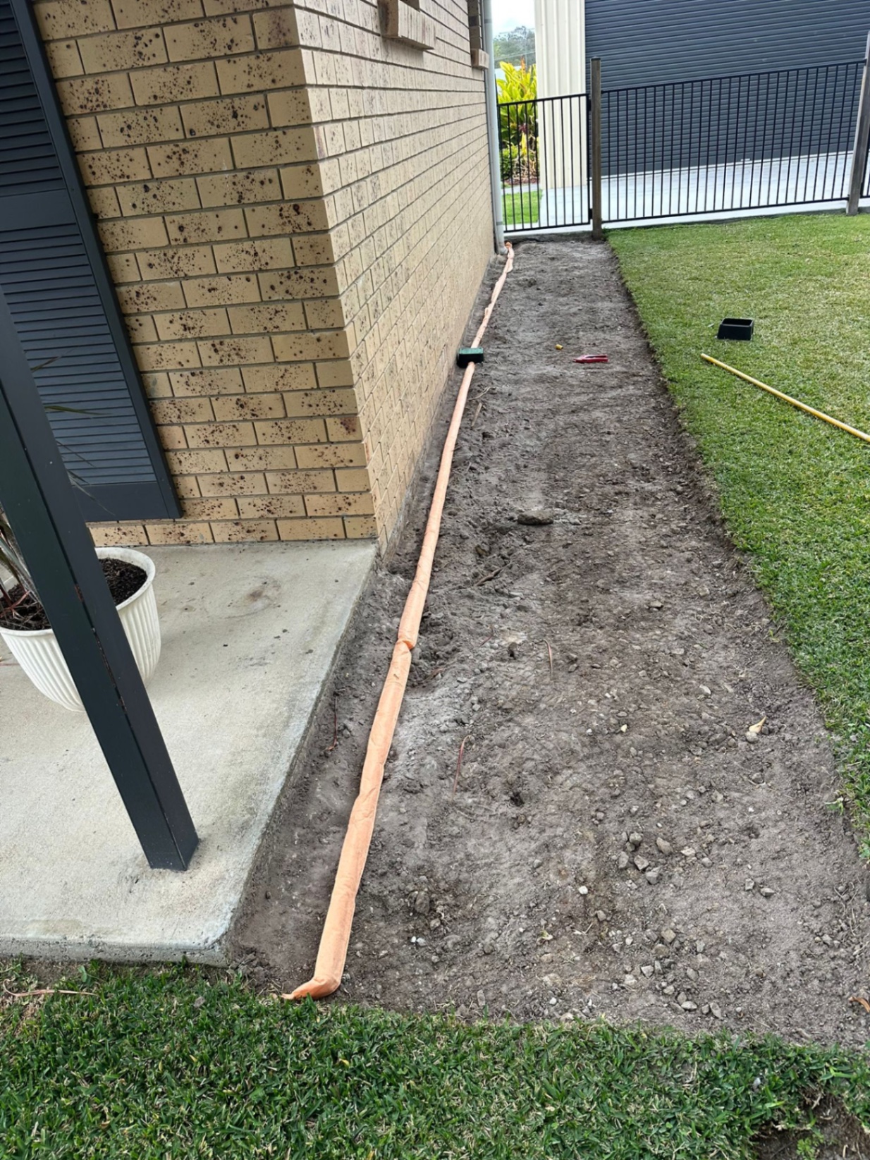 Natural Pest Control QLD | Termite & Pest Control Brisbane, Gold Coast ...